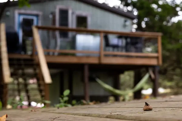 red-roof-retreats-jaybird-treehouse-cabin-goreville-il-54